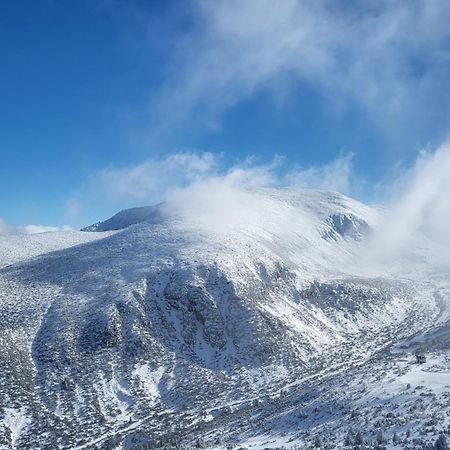Pinewood Ang Apartment, Semiramida Borovets Hills المظهر الخارجي الصورة